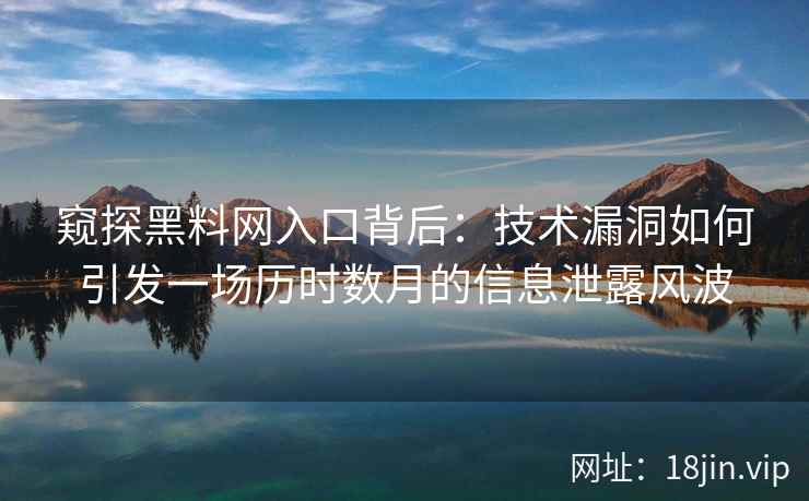 窥探黑料网入口背后：技术漏洞如何引发一场历时数月的信息泄露风波