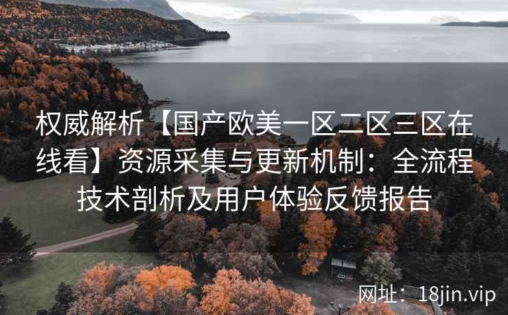 权威解析【国产欧美一区二区三区在线看】资源采集与更新机制：全流程技术剖析及用户体验反馈报告
