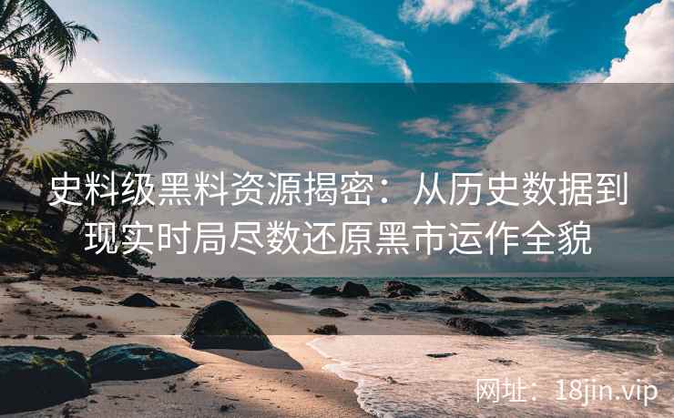 史料级黑料资源揭密：从历史数据到现实时局尽数还原黑市运作全貌