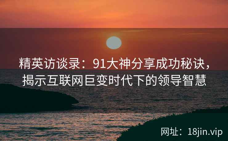 精英访谈录：91大神分享成功秘诀，揭示互联网巨变时代下的领导智慧